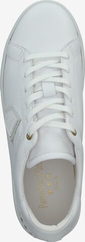 Sneaker bassa 'Paterno' di PANTOFOLA D'ORO in bianco