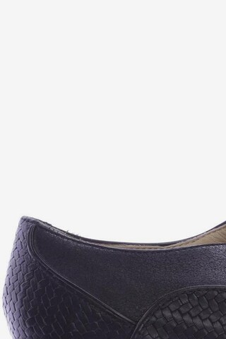 GEOX Flats & Loafers in 35 in Black