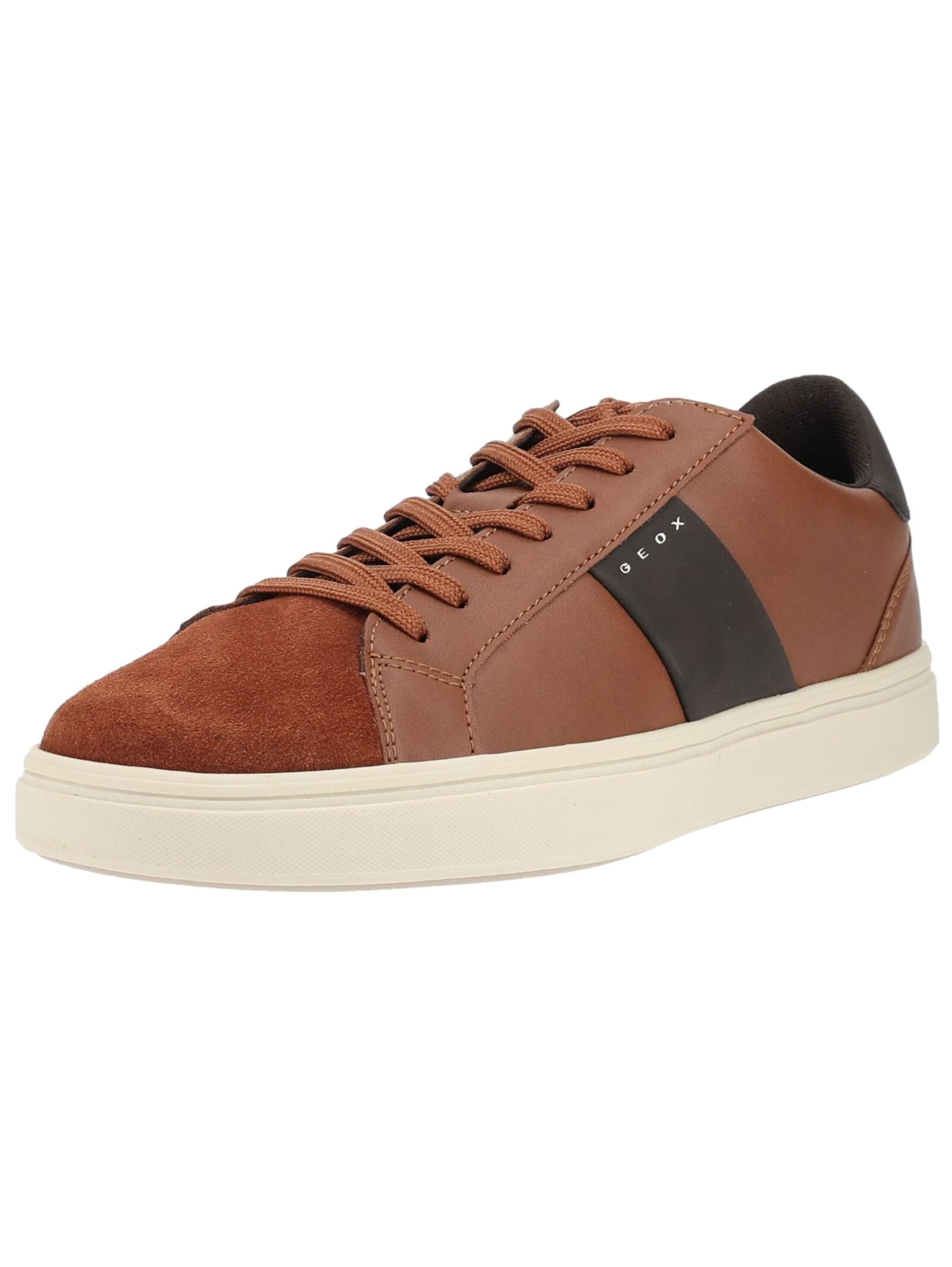 Baskets basses GEOX en marron : devant