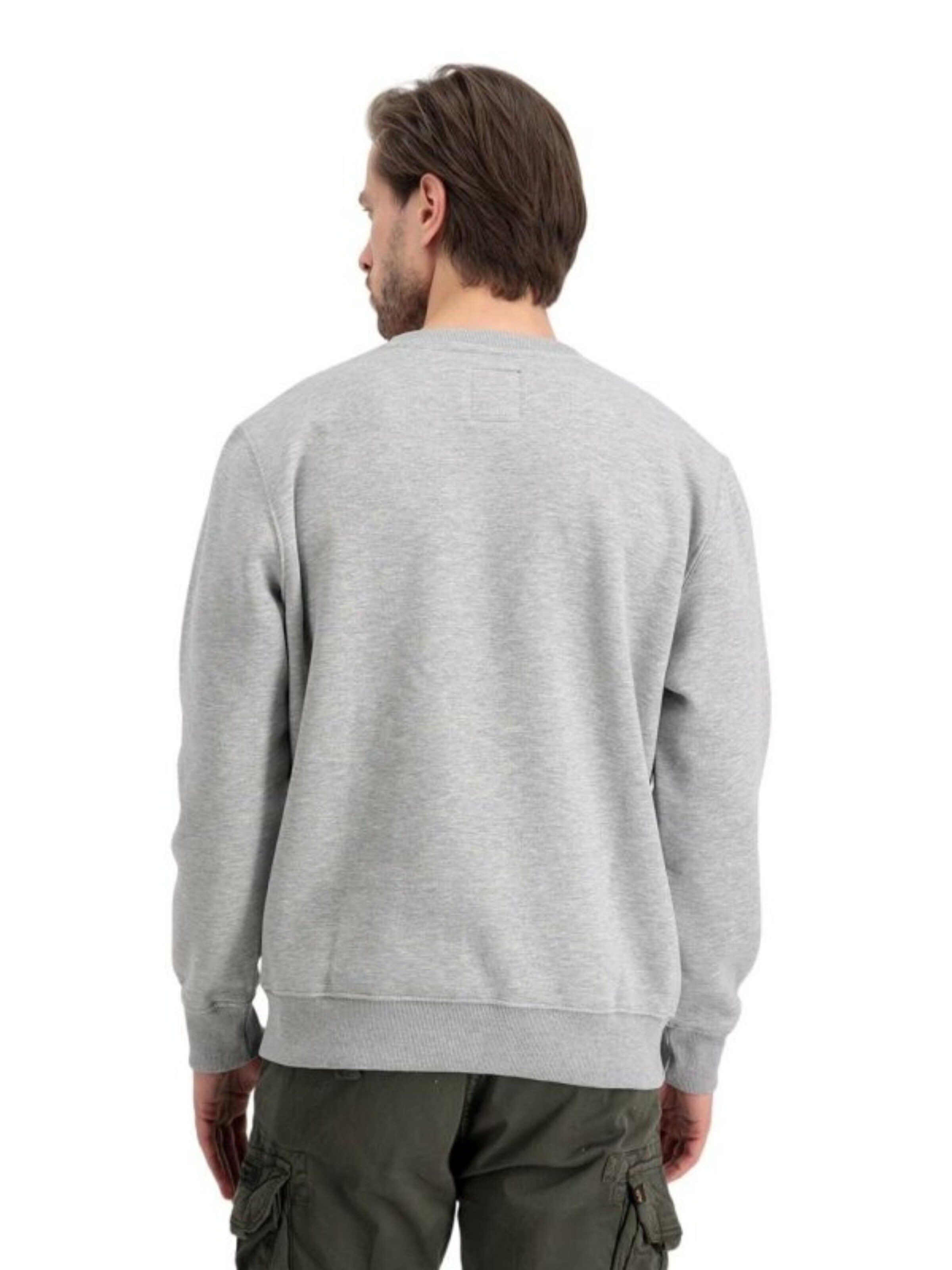 ALPHA INDUSTRIES Sweatshirt 'Basic Logo' in Grey