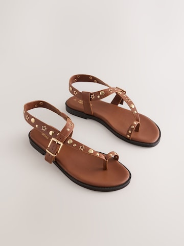 Flip-flops de la Rockett St George pe maro