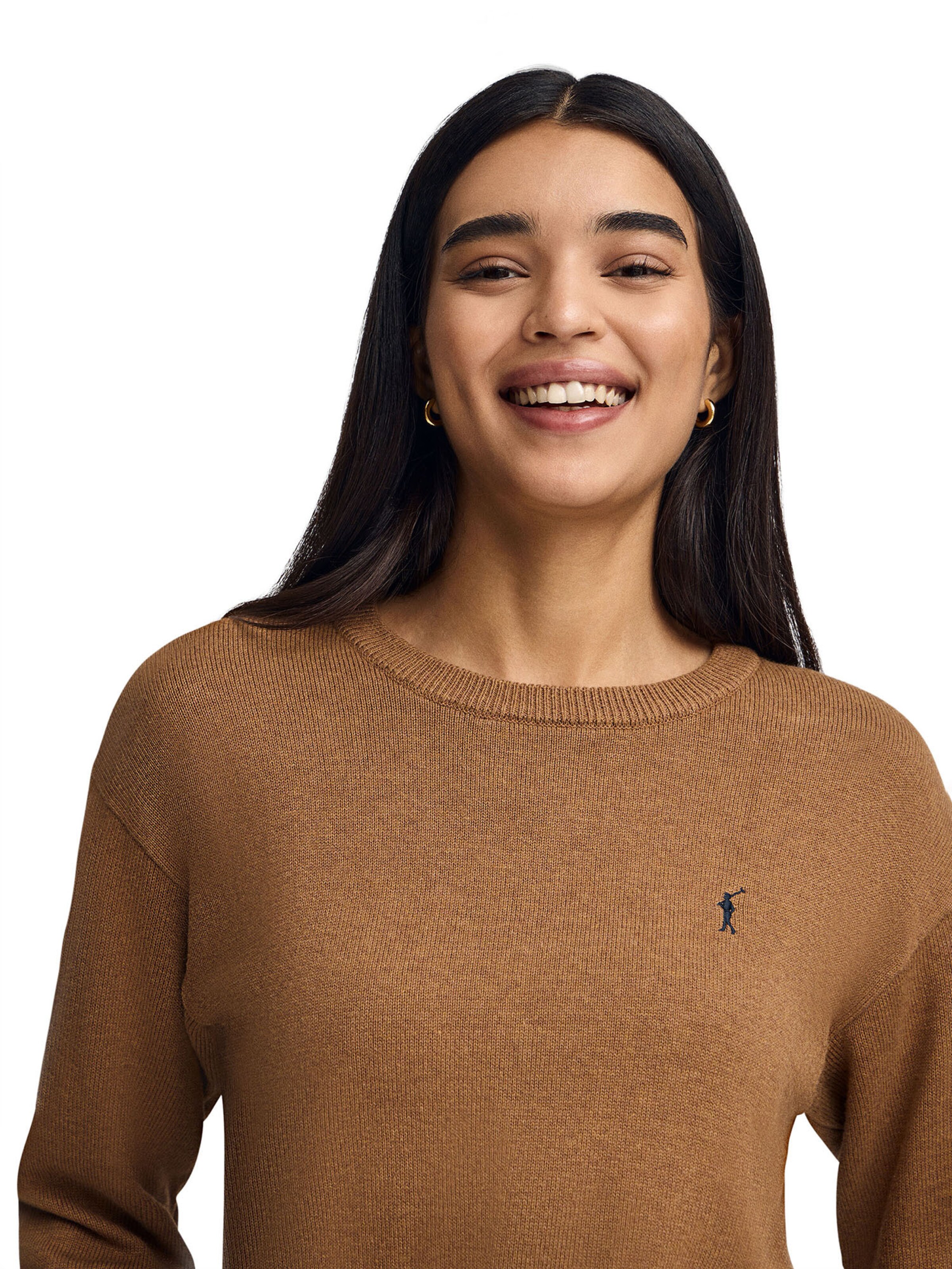 Polo Club Sweater in Brown