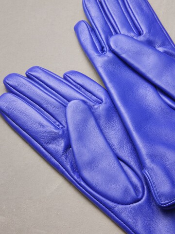 Gants Next en bleu
