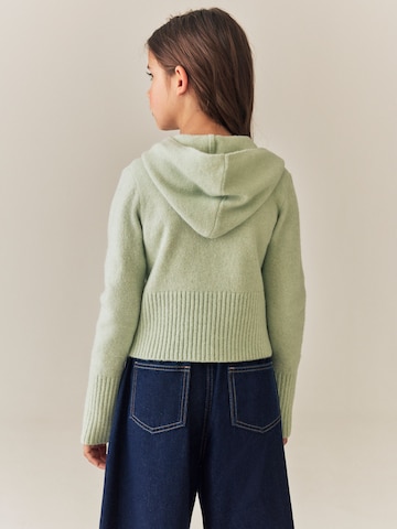 Next Gebreid vest in Groen