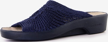 Arcopedico Slippers in Blue: front