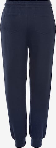 SCOUT Tapered Pants in Blue