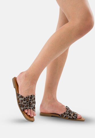 Mule Salinyang en marron