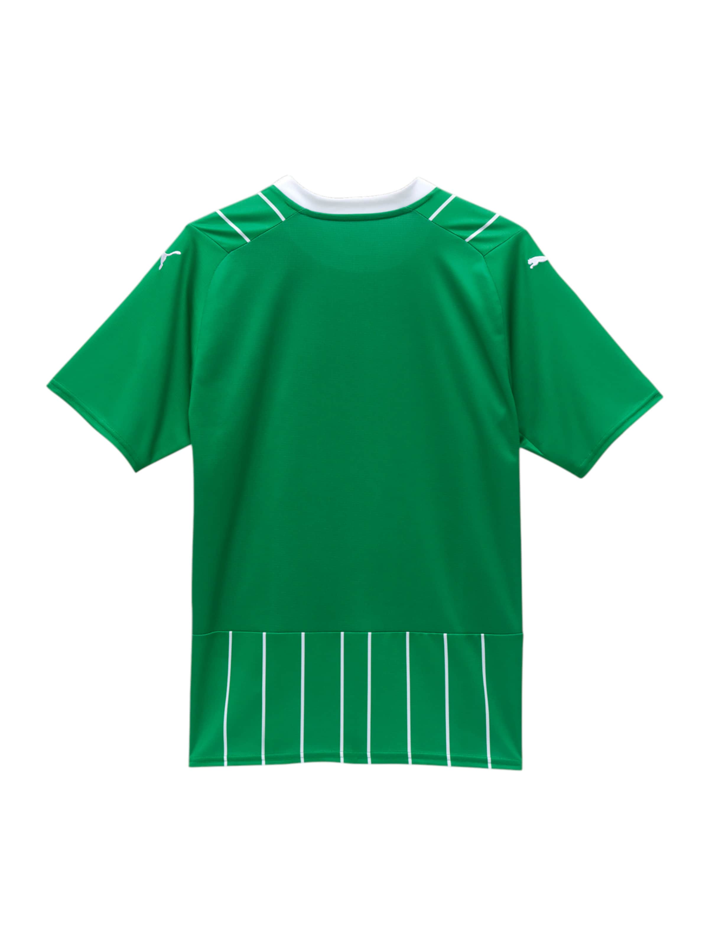 PUMA Trikot in Grün