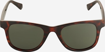 Polaroid Sunglasses in Brown