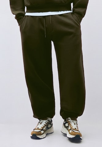 Tapered Pantaloni di Bershka in verde: frontale
