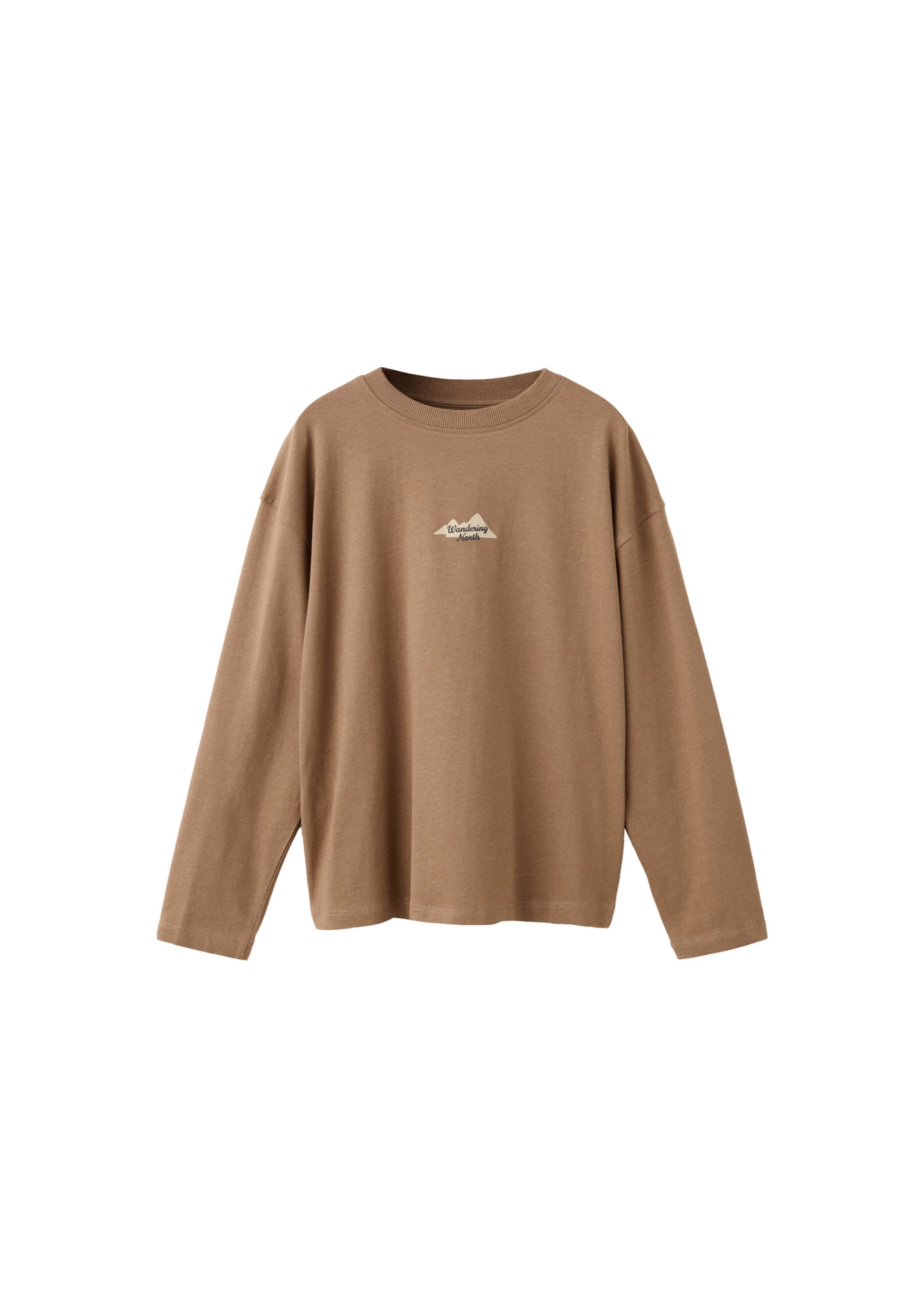 Tricou 'SNORTH' pe 116 MANGO KIDS pe bej deschis / maro caramel / maro cappuccino / negru, Vizualizare produs
