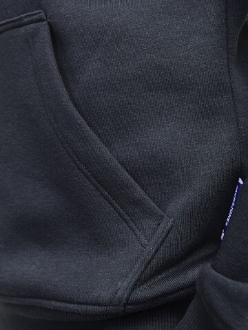 Felpa 'Vesterbro Newton' di Jack & Jones Junior in grigio