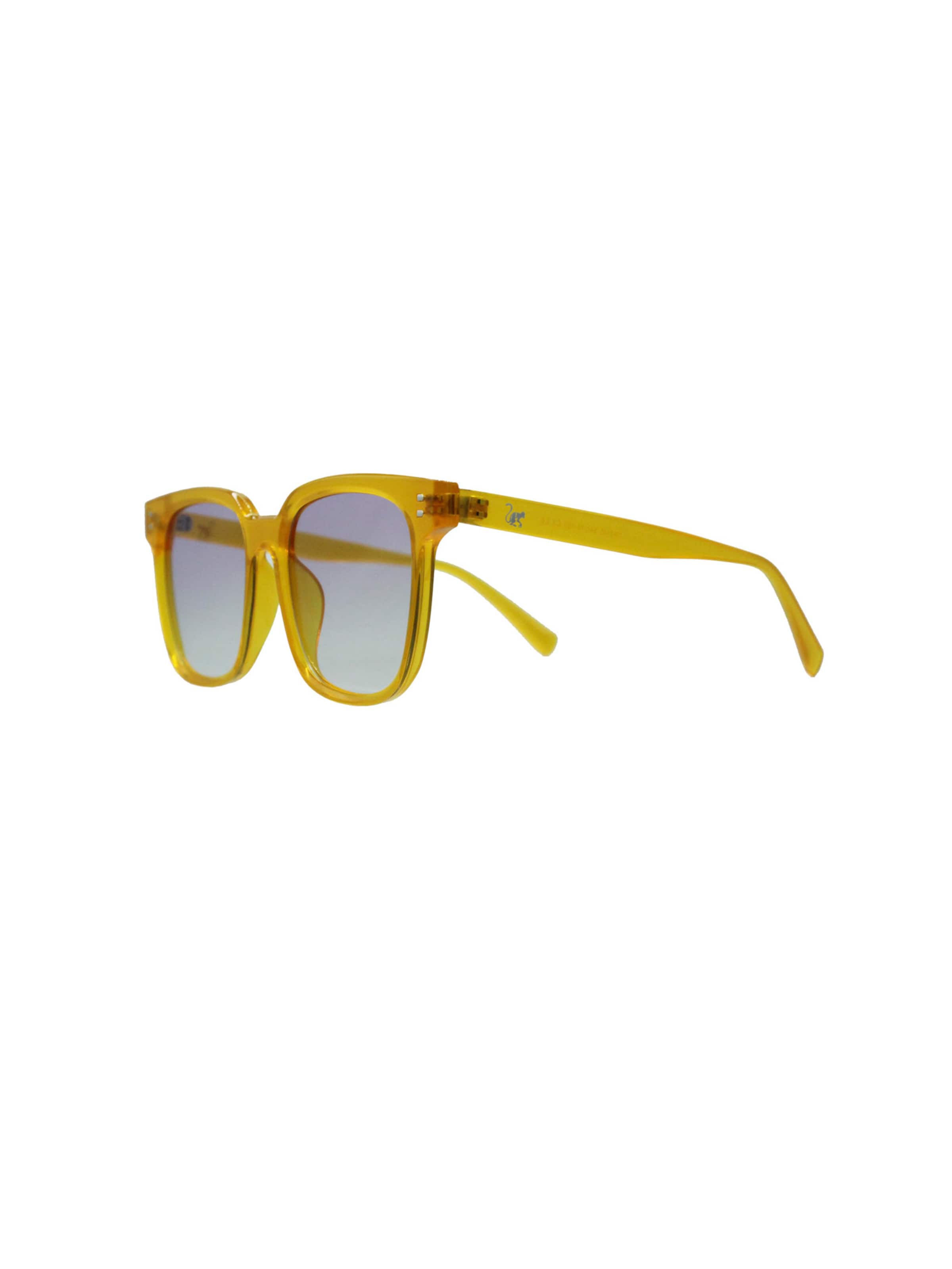 Surf Monkey Sunglasses in Gold: front