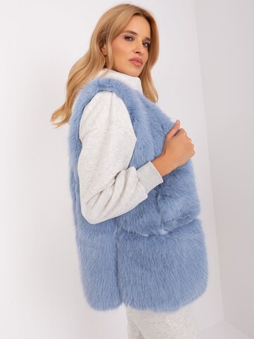Madnezz House Weste '2368.00P' in Blau