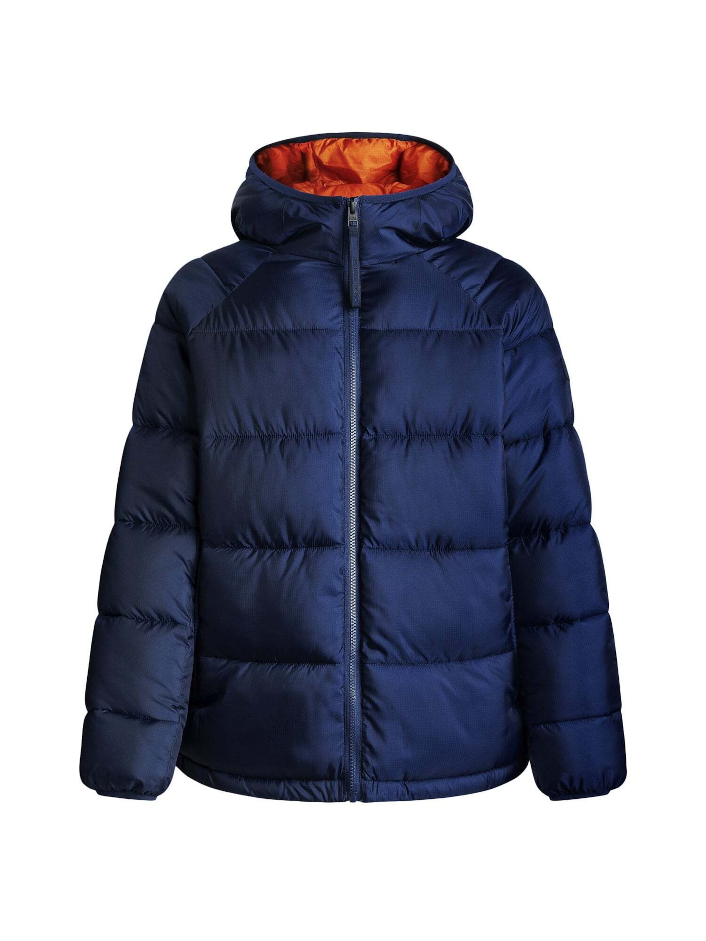 Giacca di mezza stagione 'MICRO RIPSTOP PUFFER' di Red Bull Racing x Pepe Jeans in blu: frontale