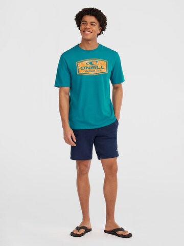 Regular Pantaloni de la O'NEILL pe albastru