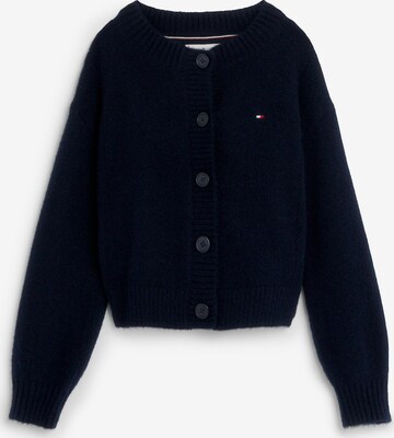 TOMMY HILFIGER Knit Cardigan in Blue: front