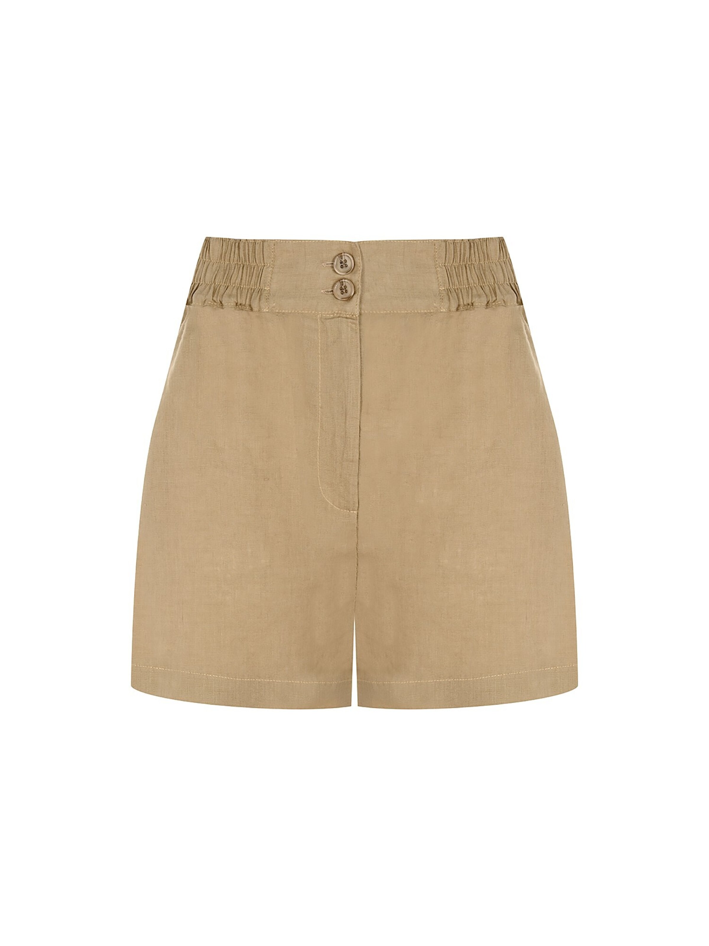 FRESHLIONS Shorts in Braun: Vorderseite