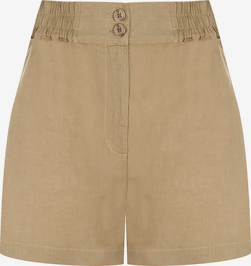 FRESHLIONS Trousers in Brown: front
