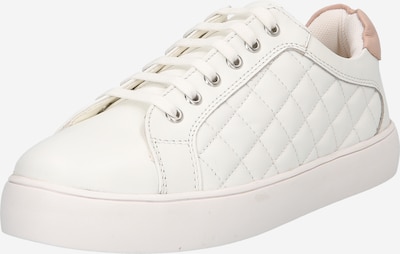 Dorothy Perkins Chaussure à lacets 'Cecilia' en poudre / blanc, Vue avec produit