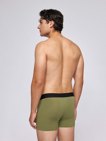 SNOCKS Boxershorts in Grün