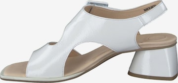 Sandalo con cinturino di Paul Green in bianco