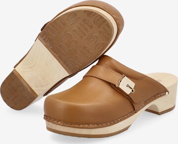 Scholl Iconic Clogs in Brown