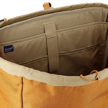 DEUTER Rugzak 'Walker 24' in Oranje