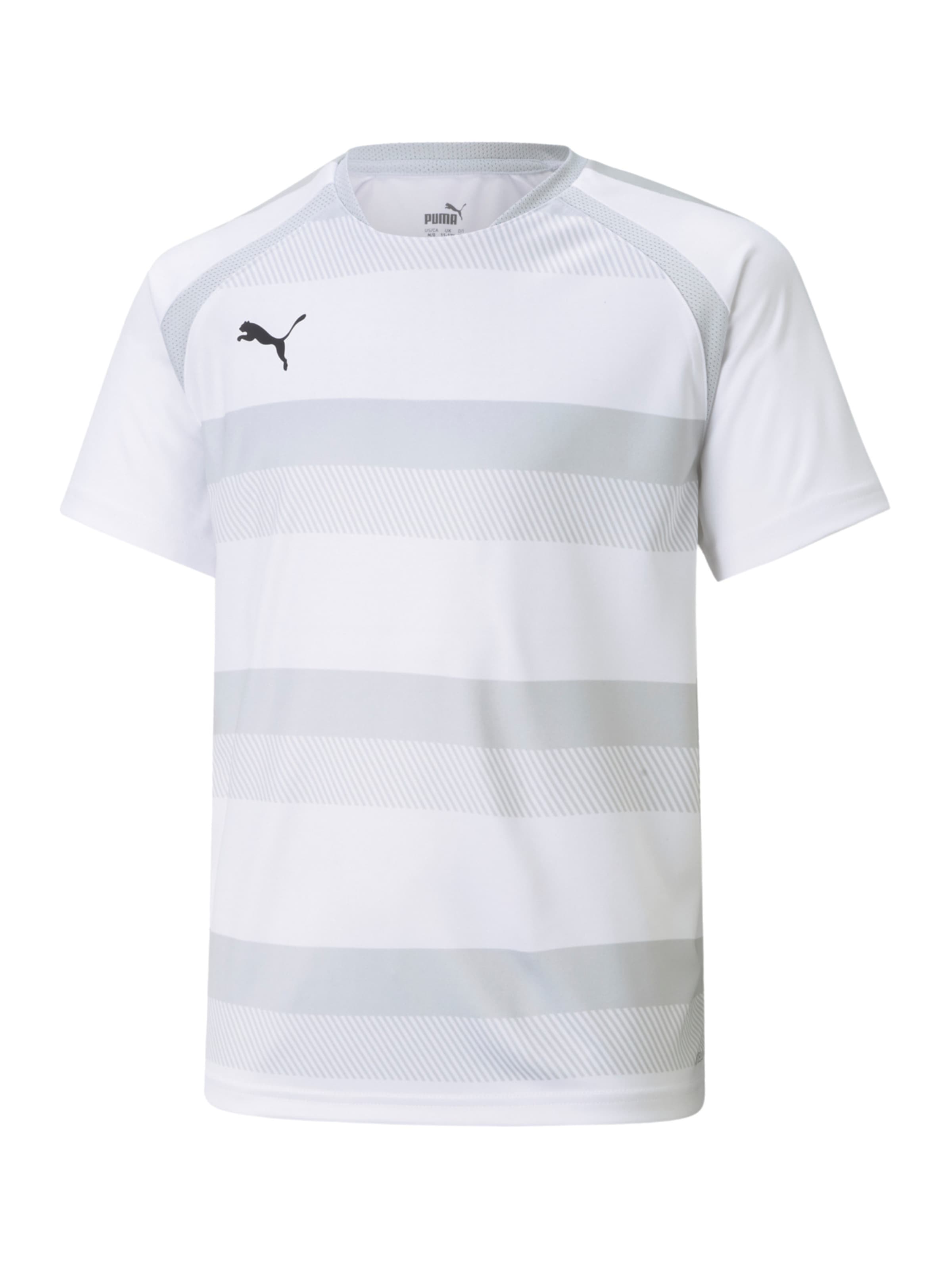 PUMA Maglia funzionale Teamvision in Grigio Greige Grigio