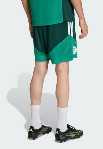 ADIDAS PERFORMANCE Regular Sportbroek 'Algerien 26' in Groen