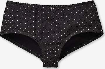 uncover by SCHIESSER Underpants in Black: front