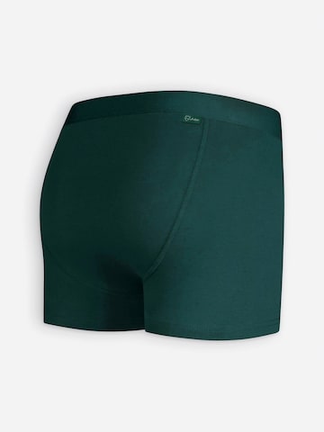 A-dam Boxer shorts in Green