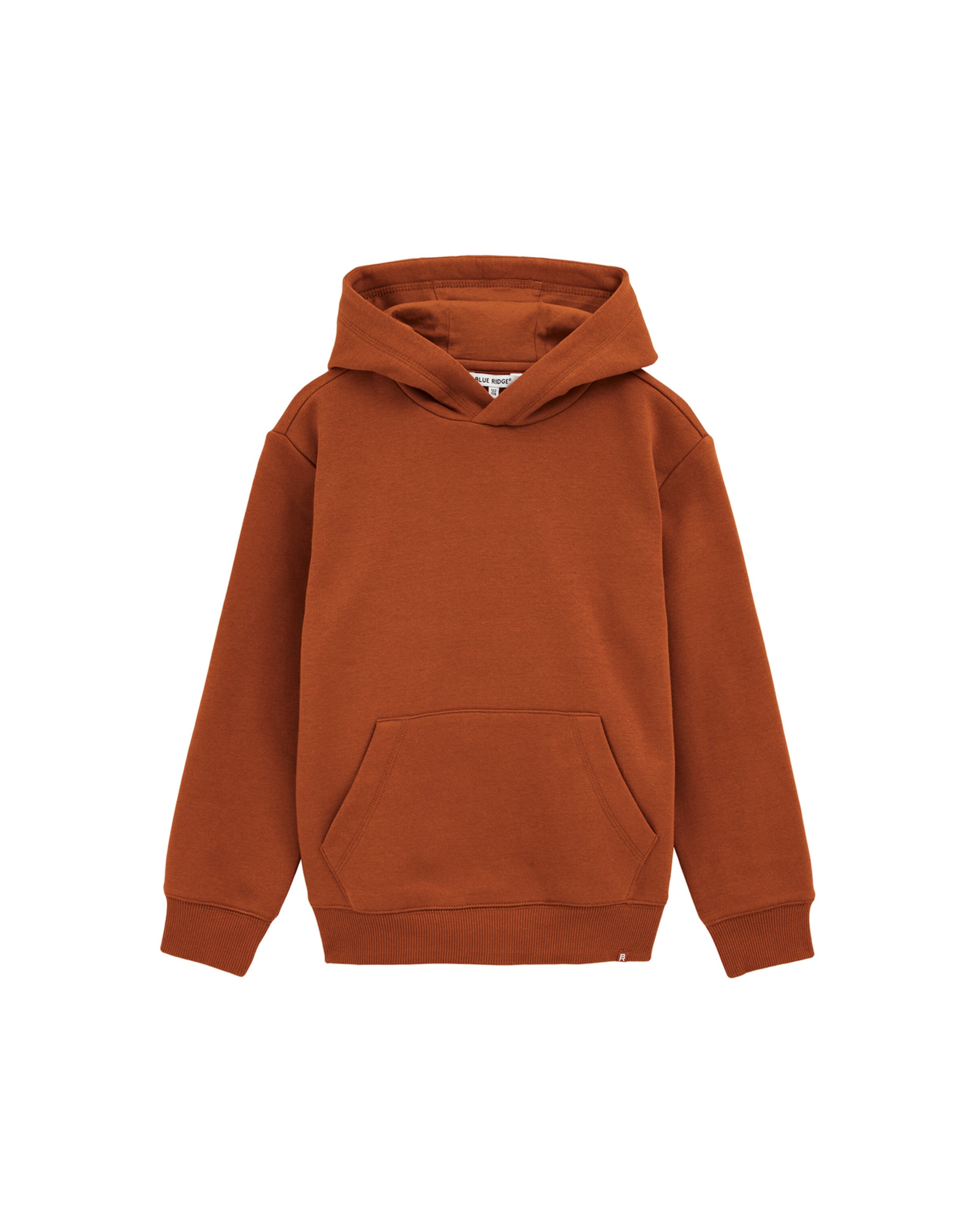 WE Fashion Sweatshirt in Brown: front