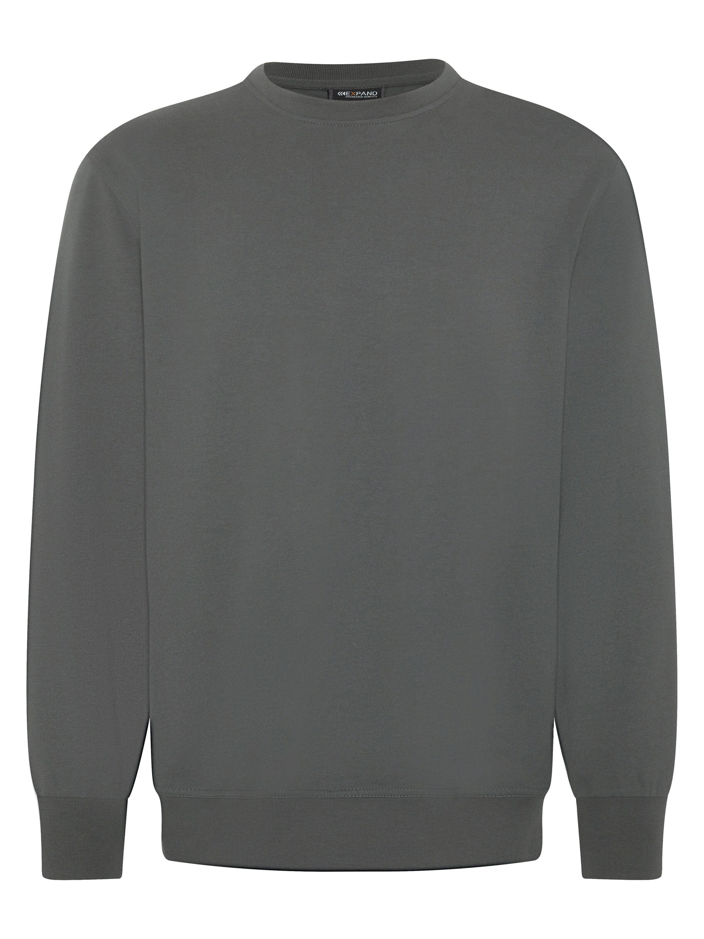 Expand Sweatshirt in Grey: front