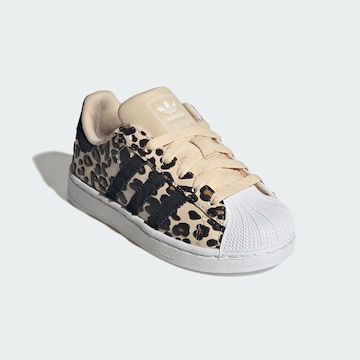 ADIDAS ORIGINALS Superge 'Superstar II' | bež barva
