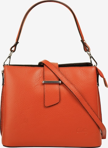 Cluty Handbag in Orange: front