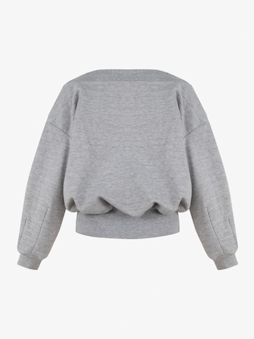 Sweat-shirt 'VALLURE' FEMSSY en gris