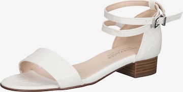 PETER KAISER Strap Sandals in White: front