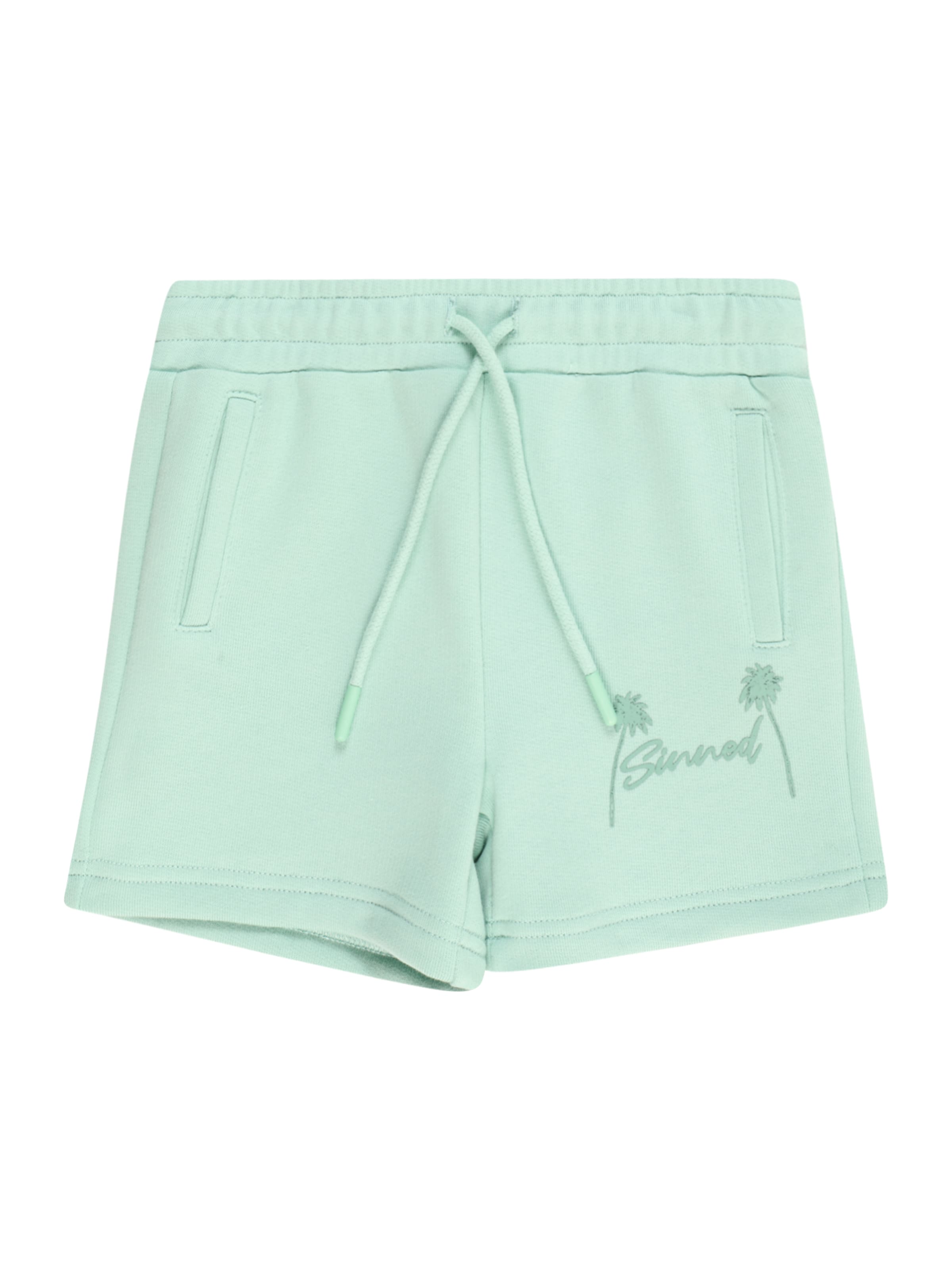 Sinned x ABOUT YOU Обычный Штаны 'Sven' в Зеленый: спереди