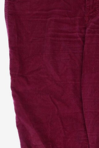 HOLLISTER Stoffhose L in Rot