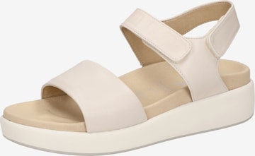 SIOUX Sandals ' Jurunisa-700 ' in Beige: front