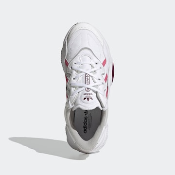 ADIDAS ORIGINALS Sneakers 'Ozweego' in White