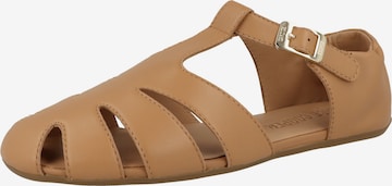 Candice Cooper Sandalen met riem 'Danty T-Bar' in Bruin: voorkant
