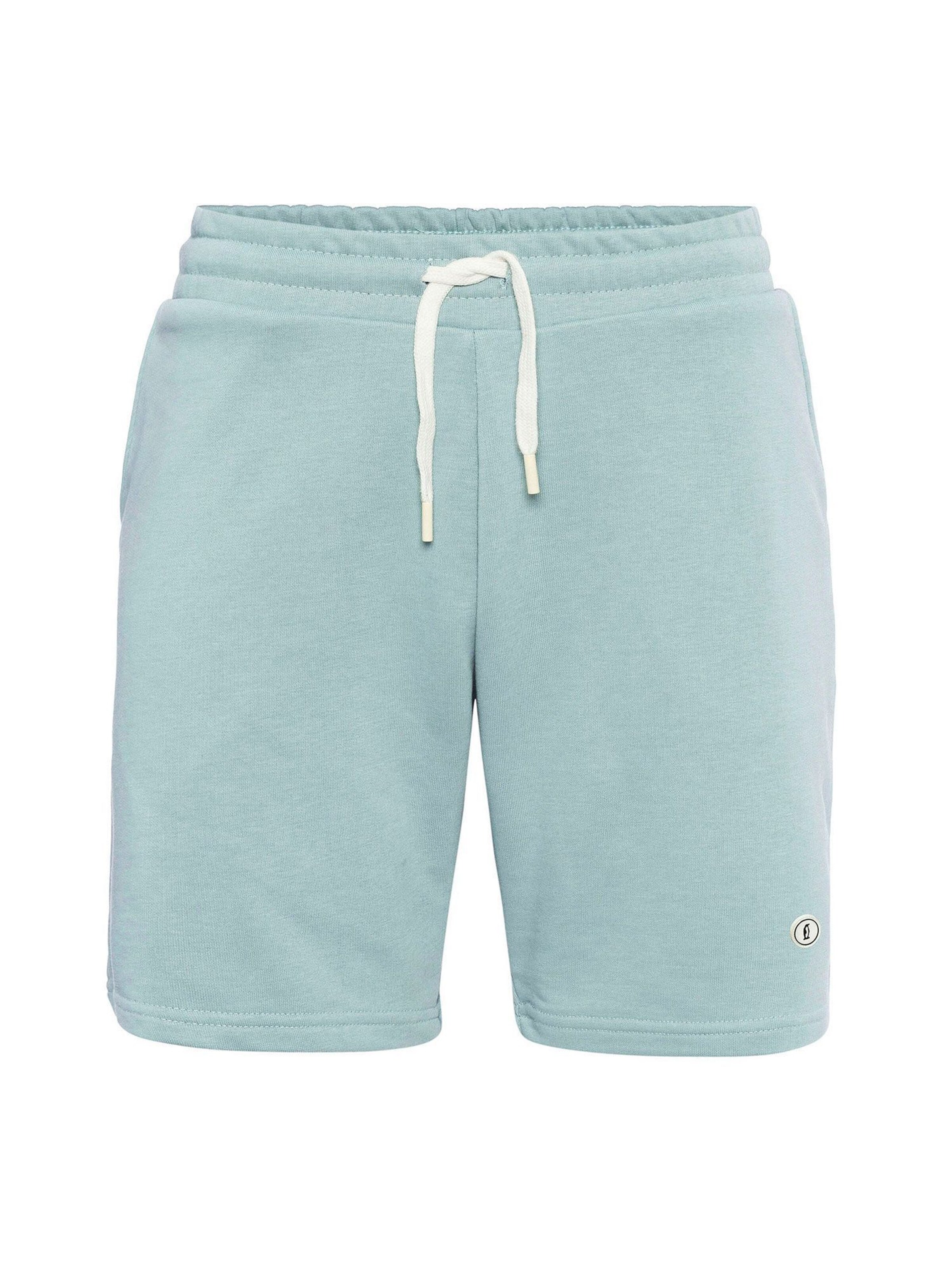 Dandalo Regular Shorts in Grün: Vorderseite