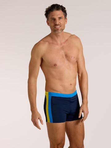 wavebreaker Swim Trunks in Blue