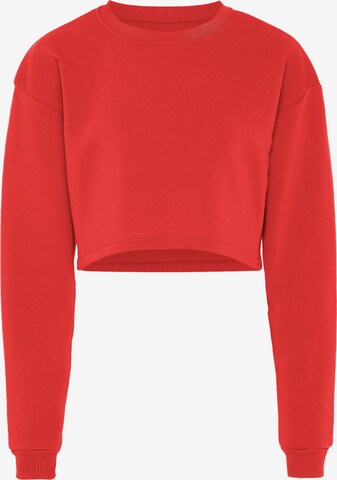 NALLY Sweatshirt in Rot: predná strana