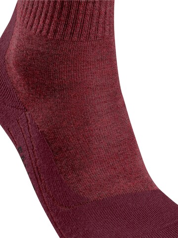 FALKE Athletic Socks 'TK2 Explore Wool' in Red