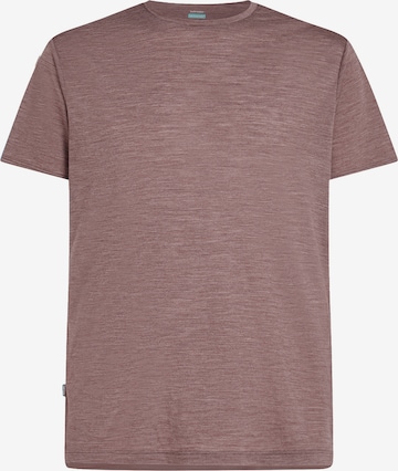 ICEBREAKER - Camiseta 'M Mer 125 Cool-Lite Sphere III SS Tee' en marrón: frente