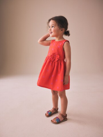 Next Kleid in Orange