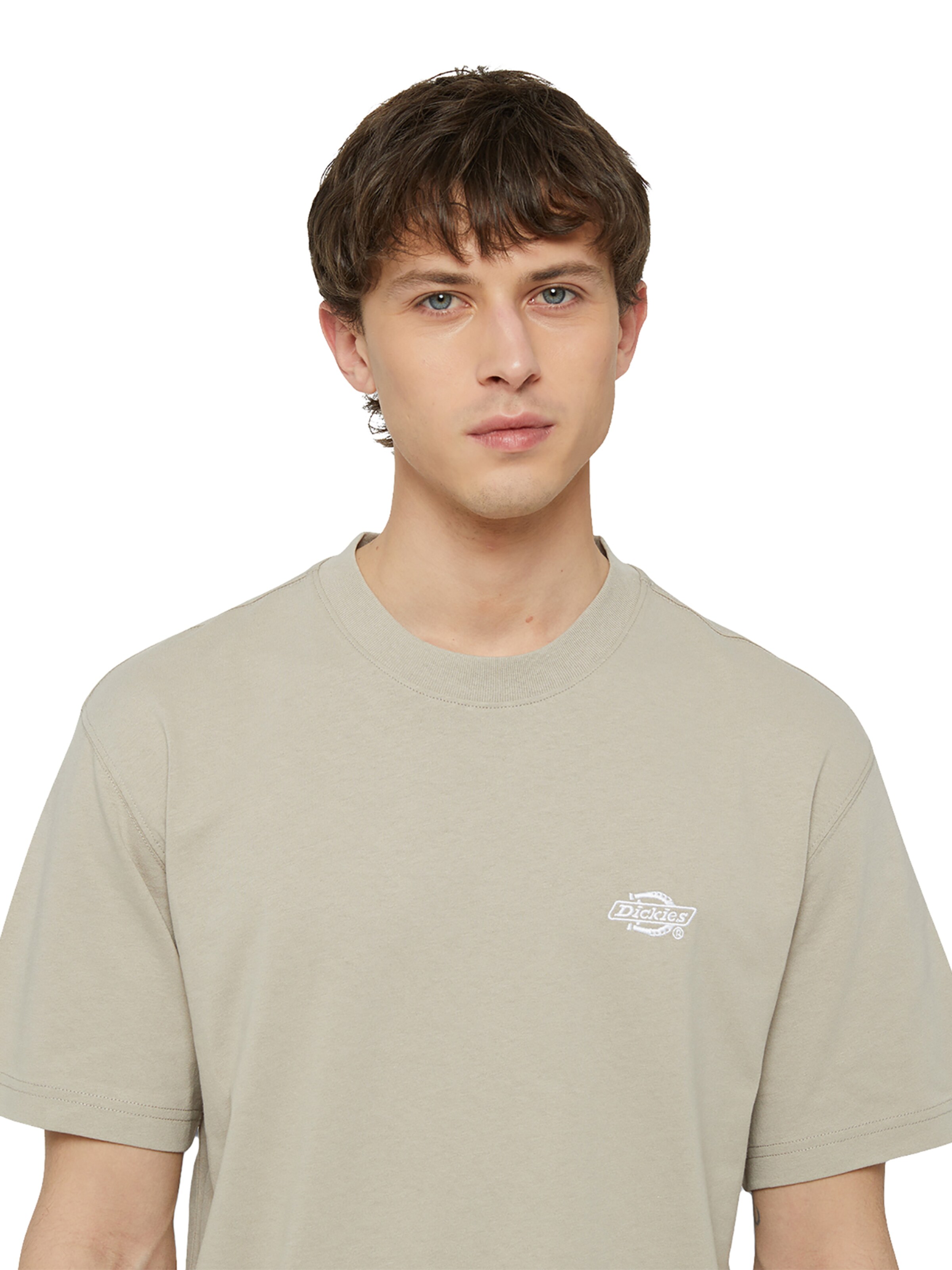 DICKIES T-Shirt 'Summerdale' in Beige